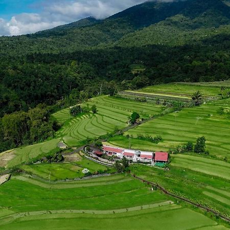 Santya Loka Lodge & Twin Waterfall 贾蒂卢维 外观 照片