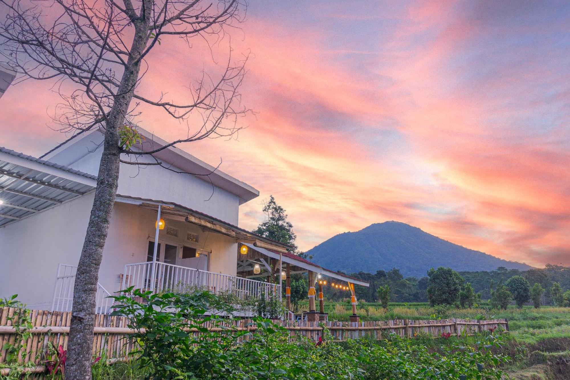 Santya Loka Lodge & Twin Waterfall 贾蒂卢维 外观 照片