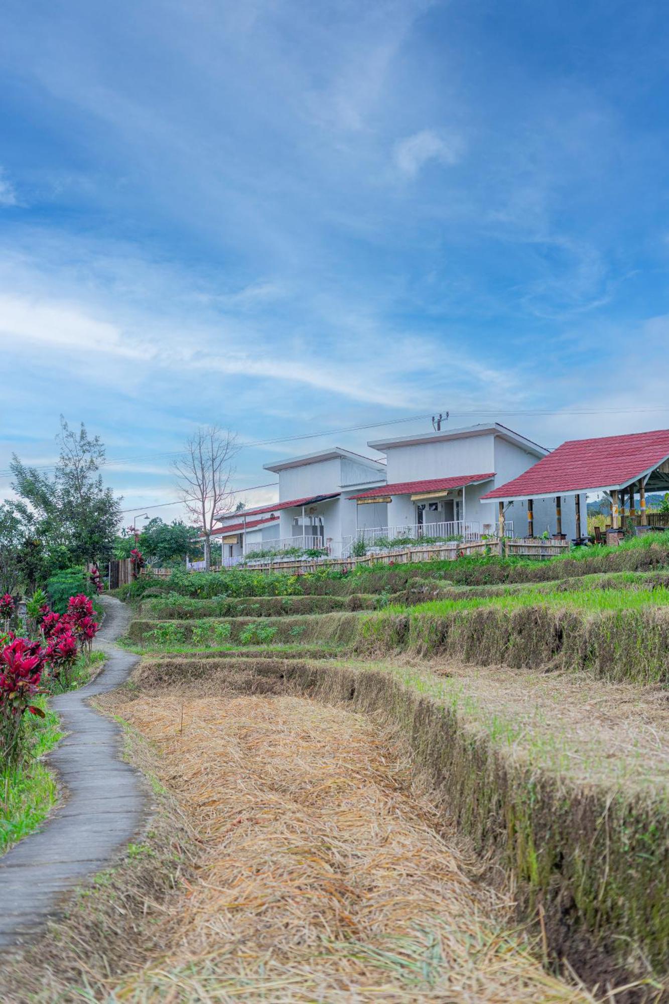 Santya Loka Lodge & Twin Waterfall 贾蒂卢维 外观 照片