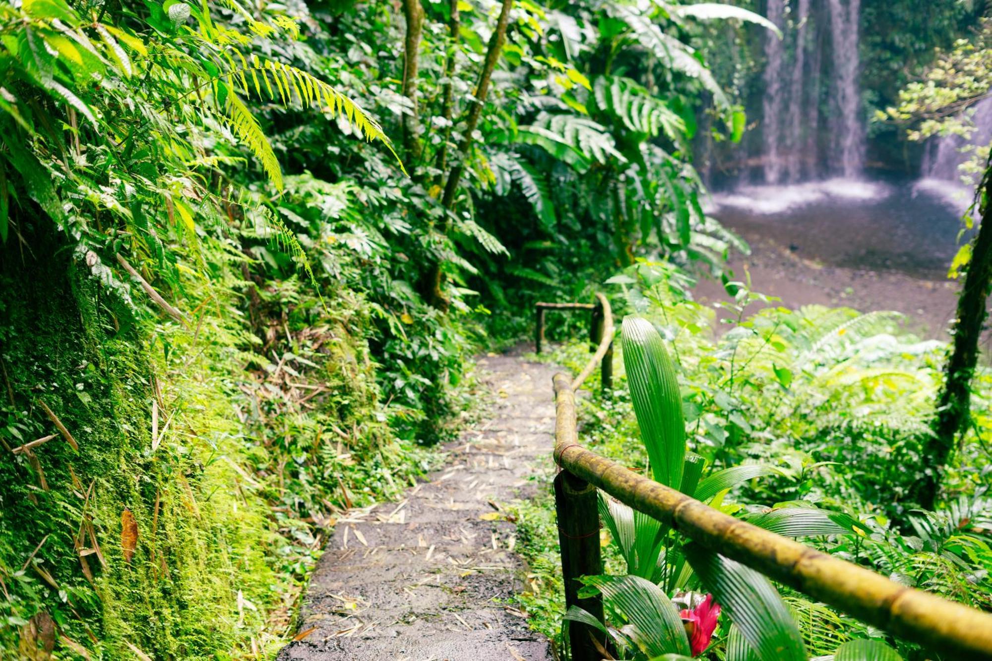 Santya Loka Lodge & Twin Waterfall 贾蒂卢维 外观 照片