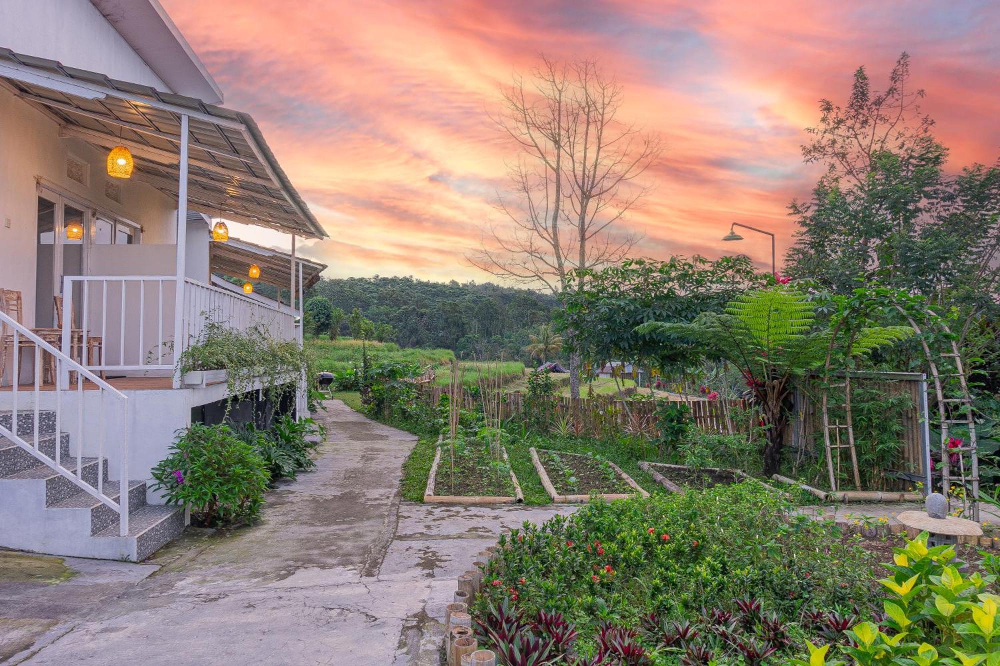 Santya Loka Lodge & Twin Waterfall 贾蒂卢维 外观 照片