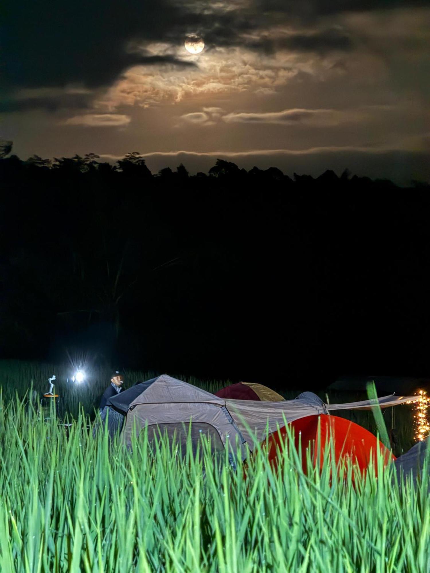 Santya Loka Lodge & Twin Waterfall 贾蒂卢维 外观 照片