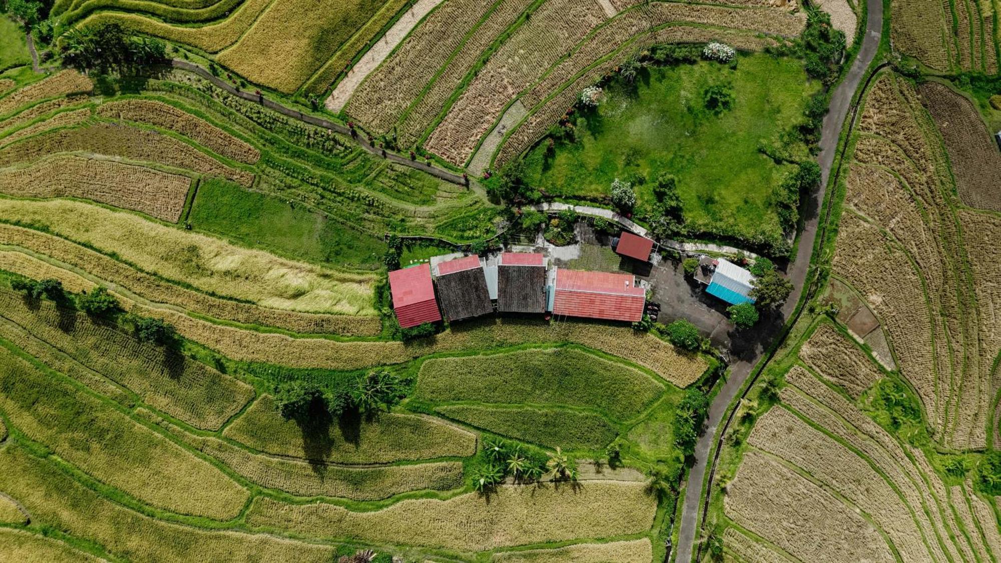 Santya Loka Lodge & Twin Waterfall 贾蒂卢维 外观 照片