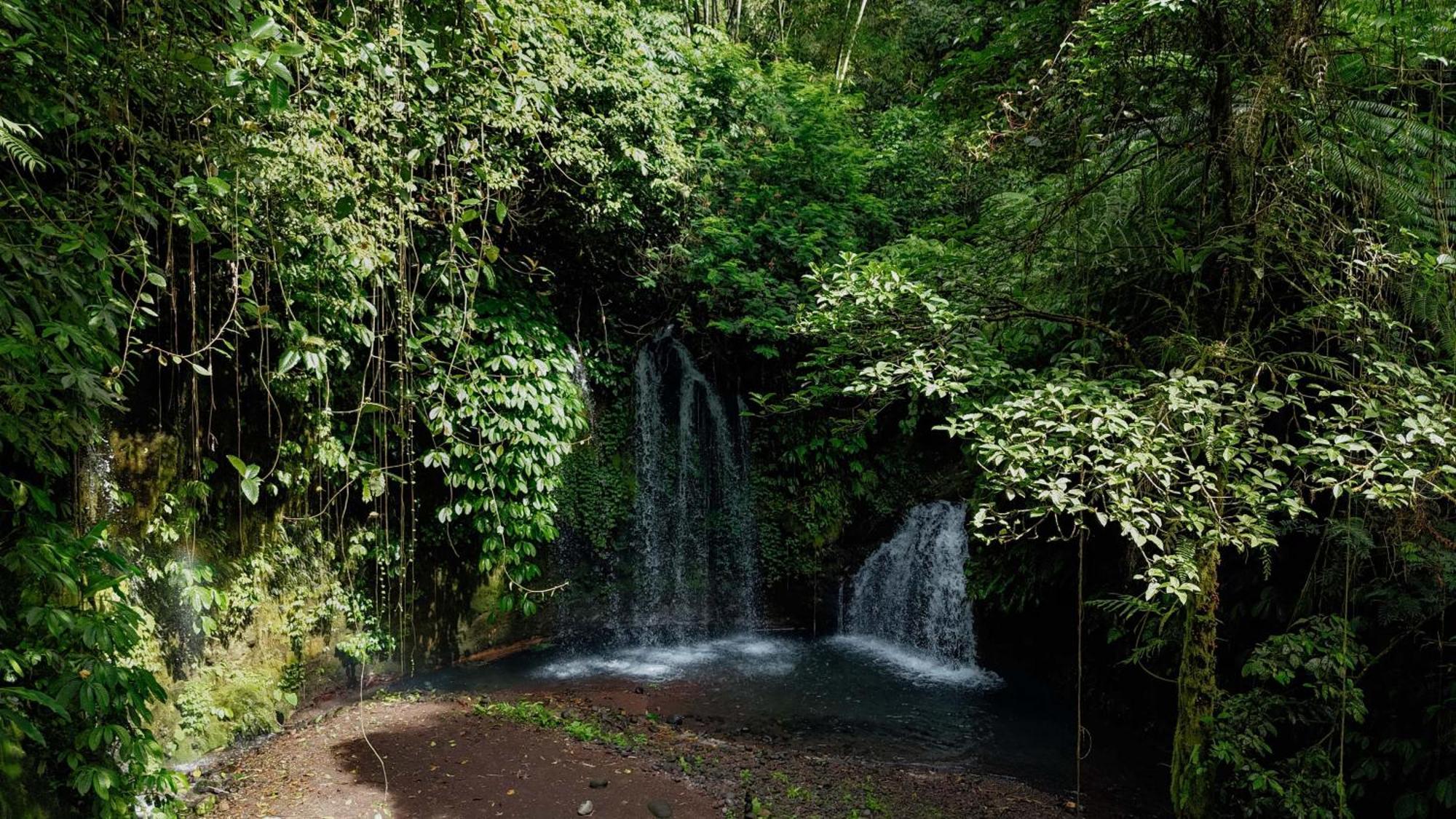 Santya Loka Lodge & Twin Waterfall 贾蒂卢维 外观 照片