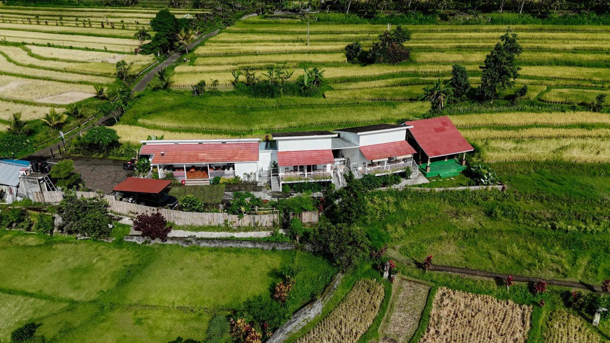 Santya Loka Lodge & Twin Waterfall 贾蒂卢维 外观 照片