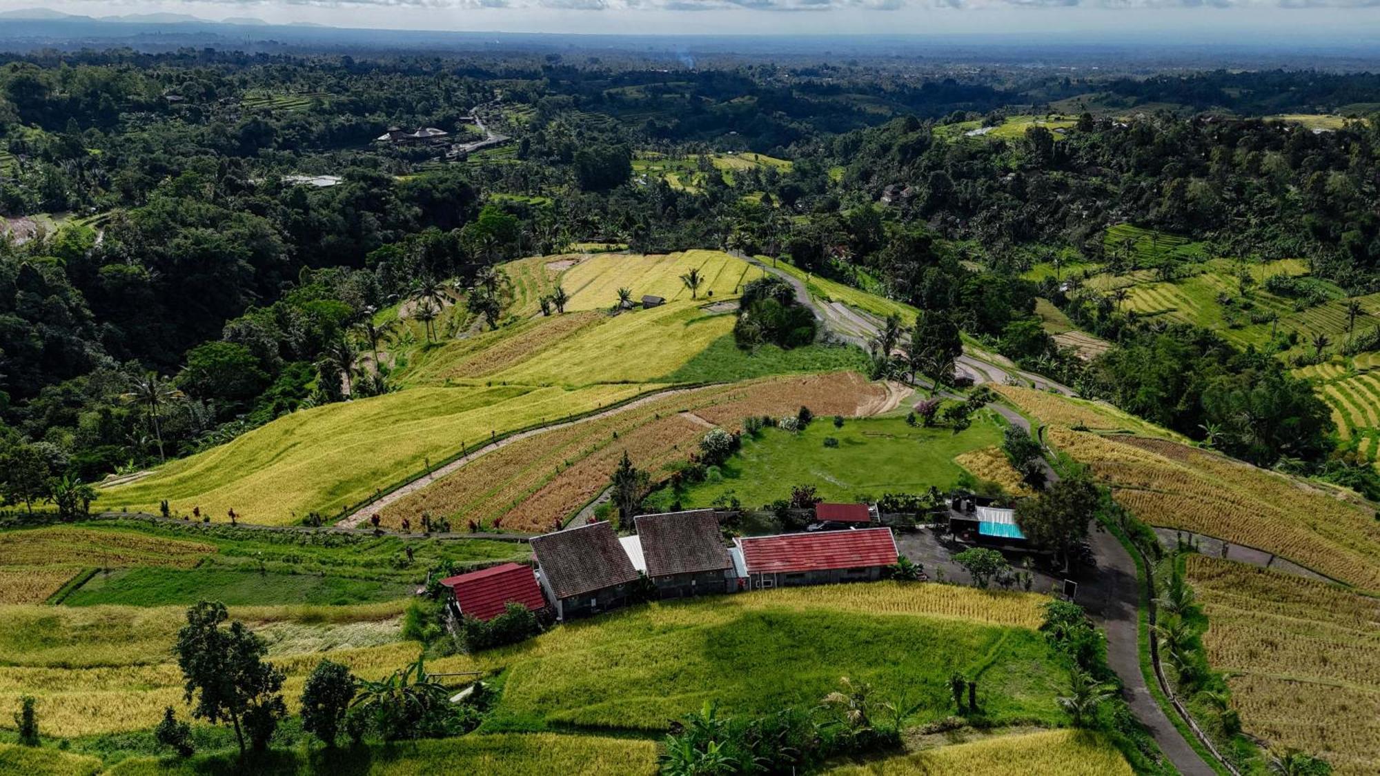 Santya Loka Lodge & Twin Waterfall 贾蒂卢维 外观 照片
