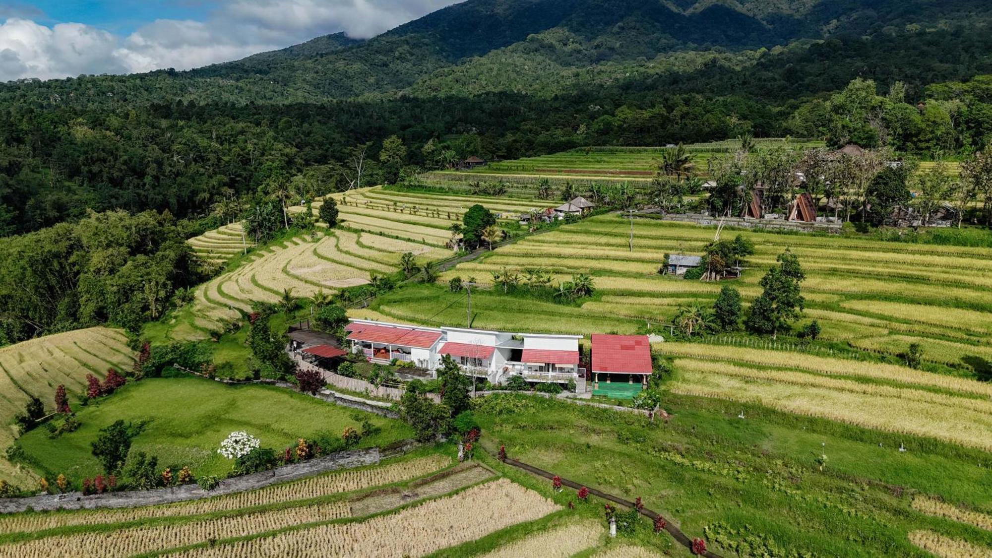 Santya Loka Lodge & Twin Waterfall 贾蒂卢维 外观 照片