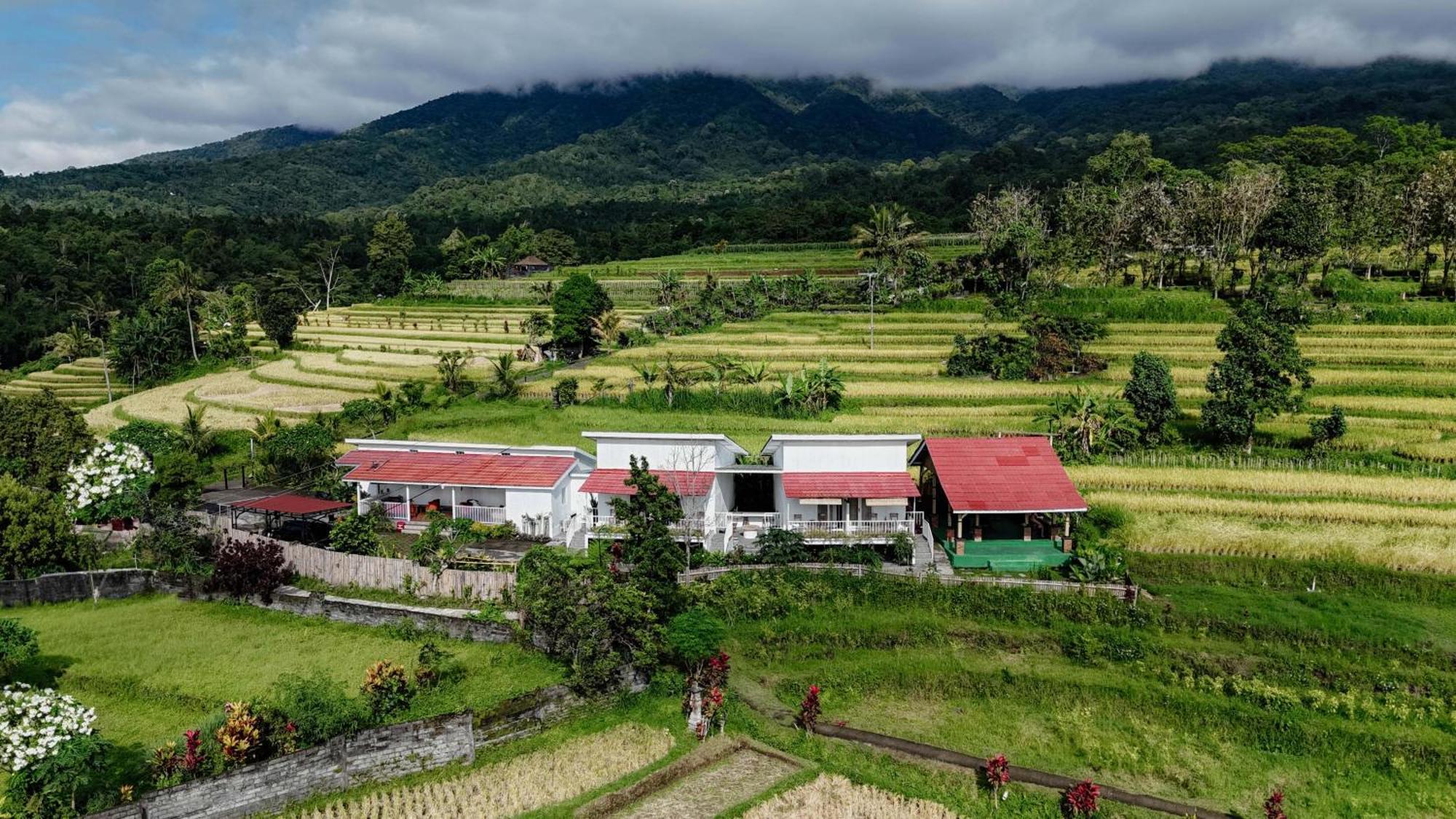 Santya Loka Lodge & Twin Waterfall 贾蒂卢维 外观 照片