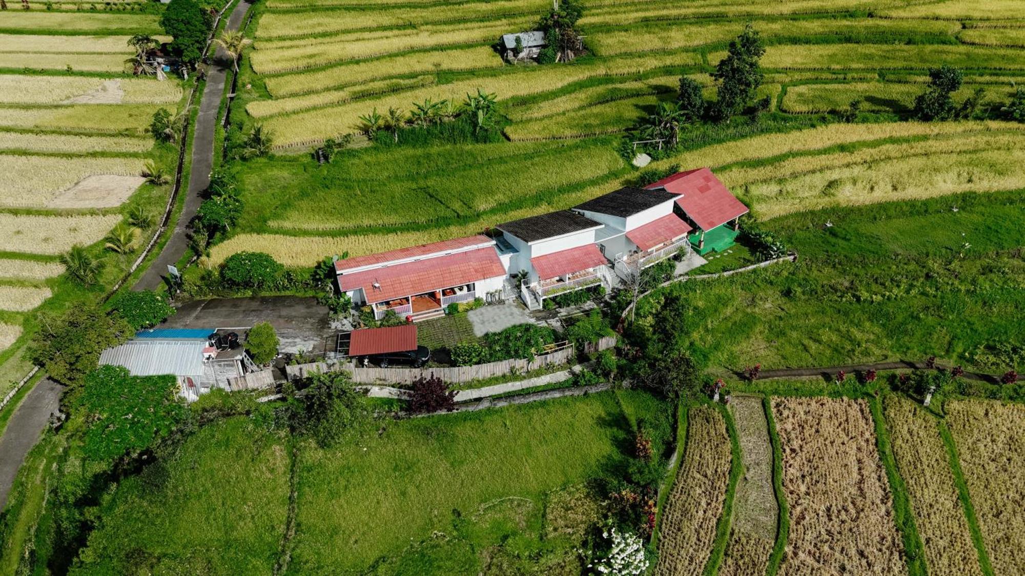 Santya Loka Lodge & Twin Waterfall 贾蒂卢维 外观 照片